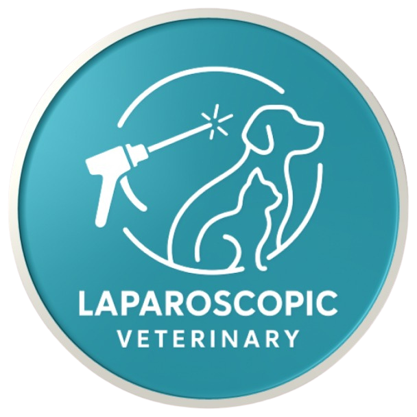 Vet Endoscopy