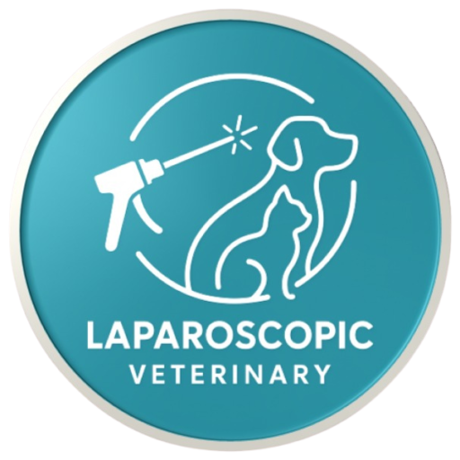 Vet Endoscopy